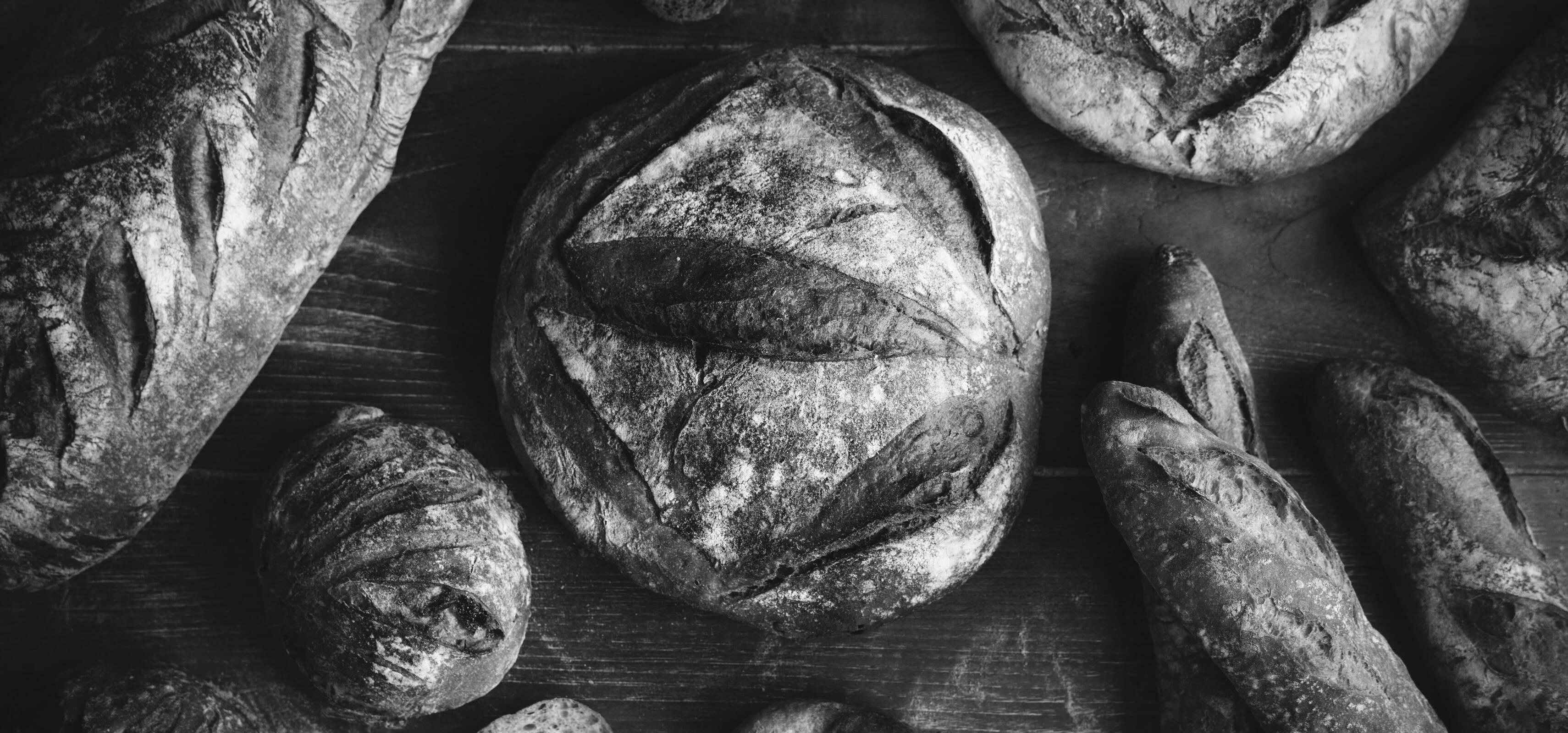 The Subtleties of Making Bread Dough for Perfect Breads