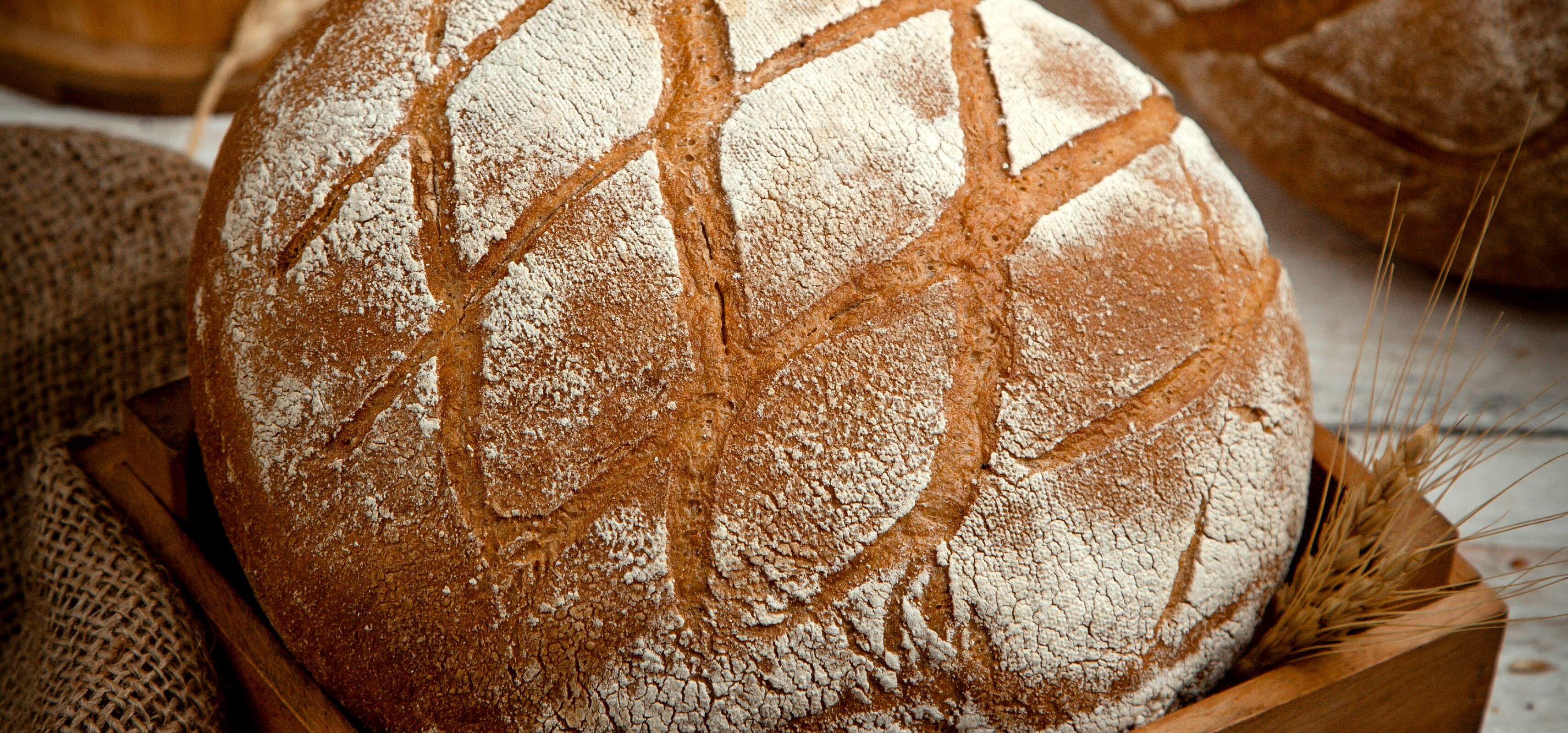 Delicious Panini Bread Recipes for Bakers