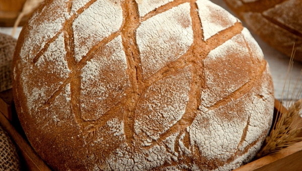 Delicious Panini Bread Recipes for Bakers